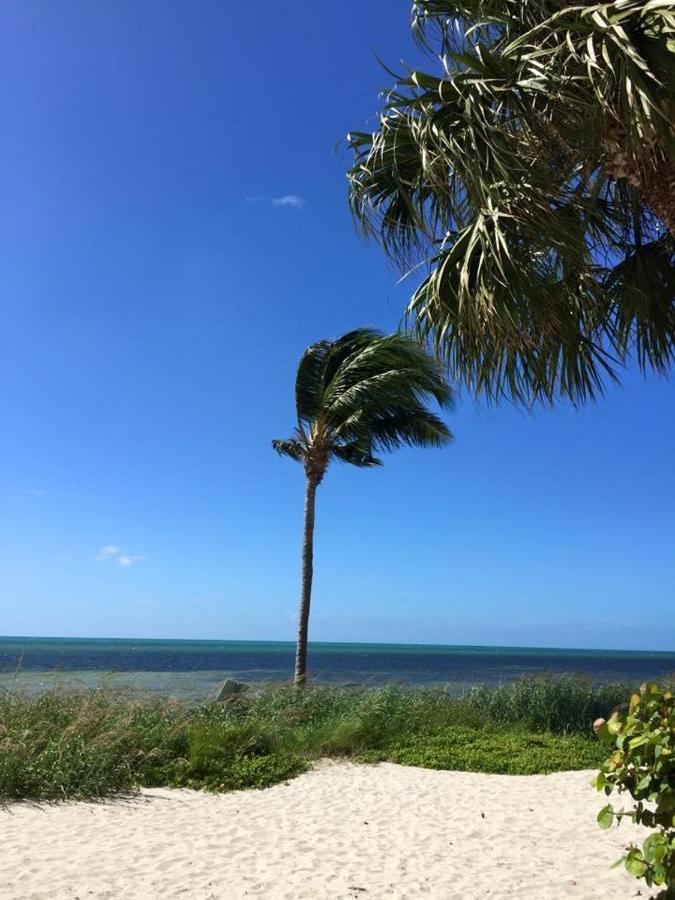 Paradise Found Cayo Hueso Exterior photo