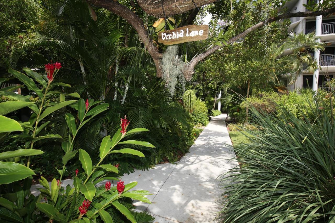 Paradise Found Cayo Hueso Exterior photo
